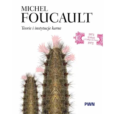 Teorie i instytucje karne - Michel Foucault, Micha� Herer