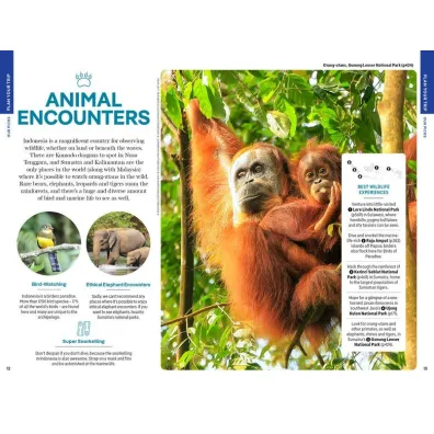 Indonesia. Lonely Planet