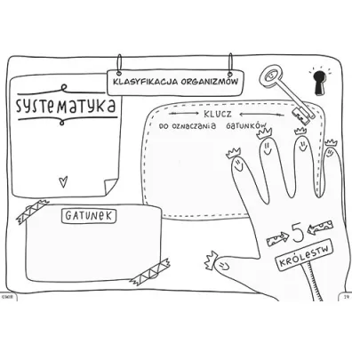 Biologia. Graficzne karty pracy dla klasy 5