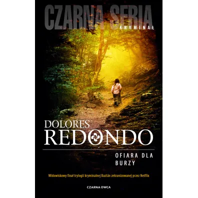Ofiara dla burzy - Dolores Redondo