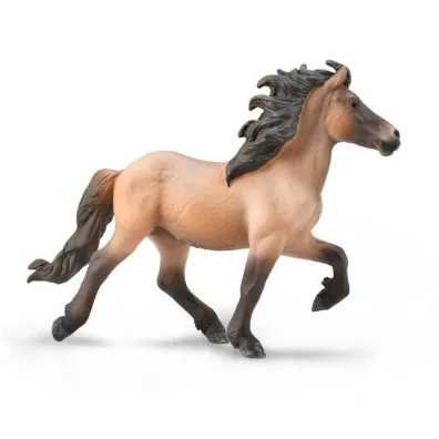 Icelandic Stallion Bay Dun