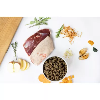 Ydolo Duck - kaczka - karma pwilgotna dla psa 10 kg
