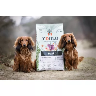 Ydolo Duck - kaczka - karma pwilgotna dla psa 10 kg