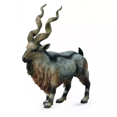 Rogacz Tadjik Markhor