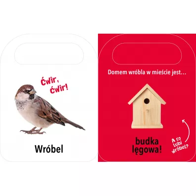 Otw�rz i zobacz! Domy zwierz�t