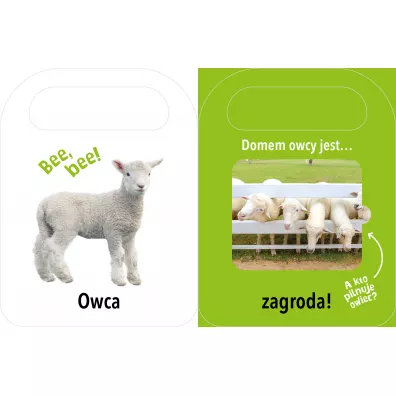 Otw�rz i zobacz! Domy zwierz�t