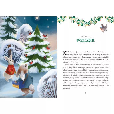 Pierwsza gwiazdka w Cichej Dolinie. Cicha Dolina. Tom 1