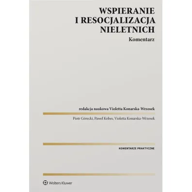 Wspieranie i resocjalizacja nieletnich. Komentarz