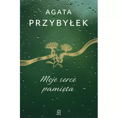 Moje serce pami�ta. Detektyw Rafa� Kamie�ski. Tom 4 - Agata Przyby�ek