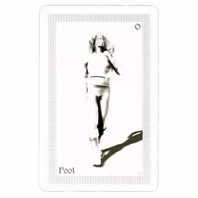 ShadowFox Tarot, karty