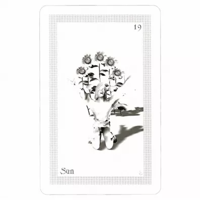 ShadowFox Tarot, karty