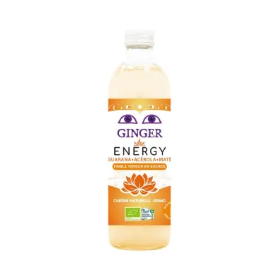 Karma Kombucha Piwo imbirowe energy bezalkoholowe fair for life 350 ml Bio