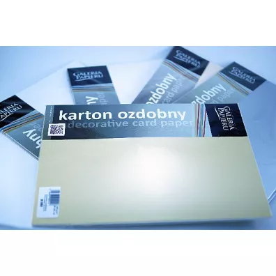 Argo Karton ozdobny Frost 220g, 20 arkuszy