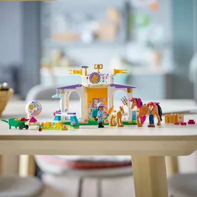 LEGO Friends Szkolenie koni 41746