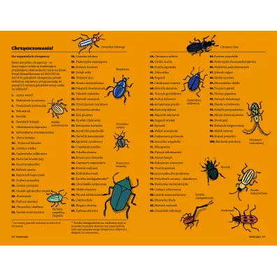 Britannica. Faktomania