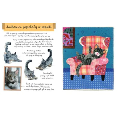 Ma�y atlas kot�w (i kociak�w) Ewy i Paw�a Pawlak�w