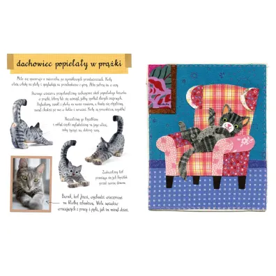 Ma�y atlas kot�w (i kociak�w) Ewy i Paw�a Pawlak�w