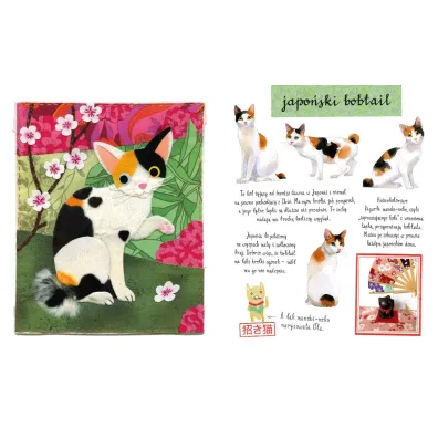 Ma�y atlas kot�w (i kociak�w) Ewy i Paw�a Pawlak�w