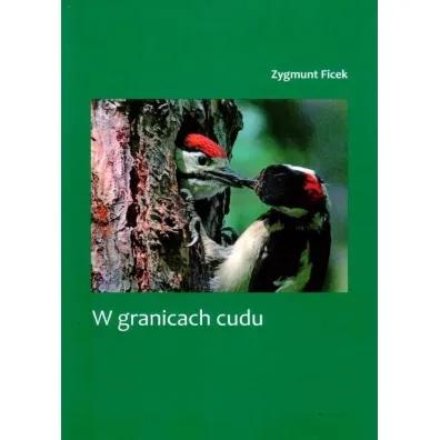 W granicach cudu - Zygmunt Ficek