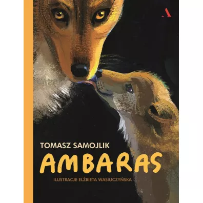 Ambaras - Tomasz Samojlik