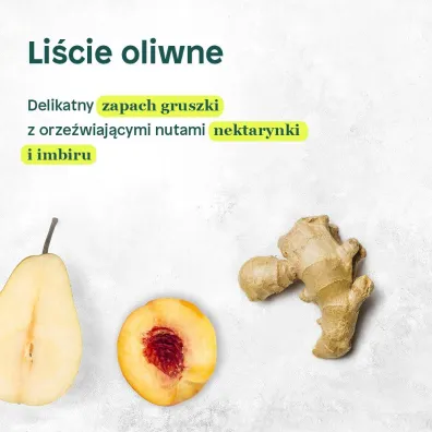 Attitude Odżywka wzmacniająca włosy z olejem z pestek winogron i liśćmi oliwek 240 ml Attitude Odżywka wzmacniająca włosy z olejem z pestek winogron i liśćmi oliwek 240 ml