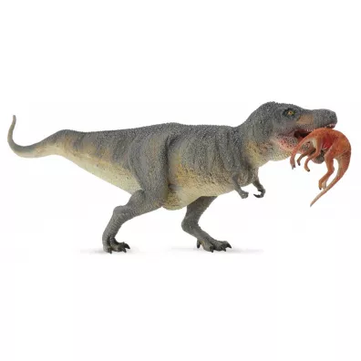 Dinozaur Tyrannosaurus Rex z ofiar�