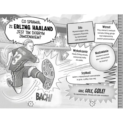 Haaland rz�dzi. Football superstars