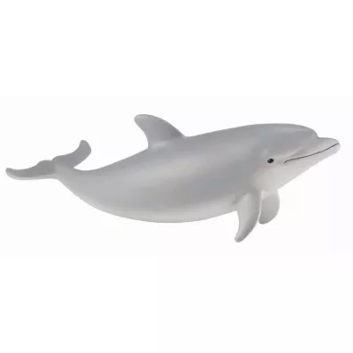 Delfin butlonosy m�ody