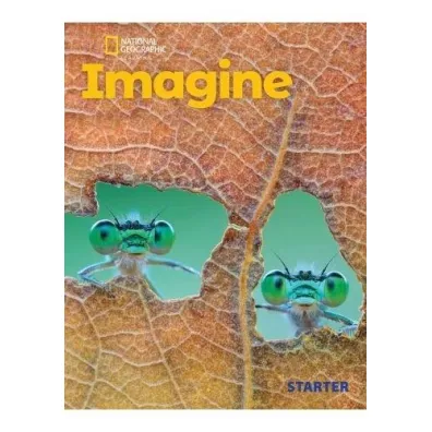 Imagine. Starter. Flashcards - Gregg  Schroeder
