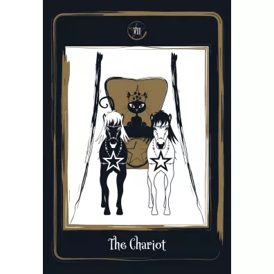 Golden Black Cat Tarot, karty