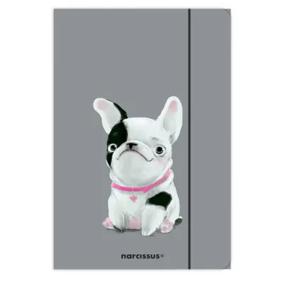 Narcissus Teczka A4 z gumk� FUN Pies 10 szt.