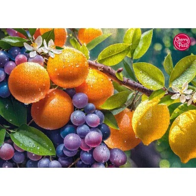 Puzzle 1000 el. Sunny Fruits CherryPazzi