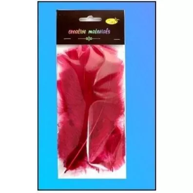 Galeria Hobby Pi�rka mi�kkie bordowe 15 szt.