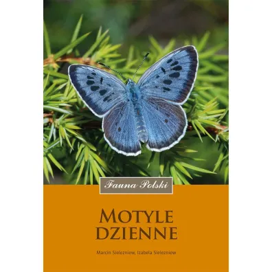 Motyle dzienne - Marcin Sielezniew, Izabela Sielezniew