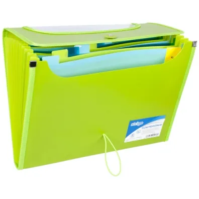 Strigo Teczka VFILE PP A4 z 12 przek�adkami zielona