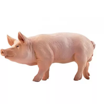 Knur