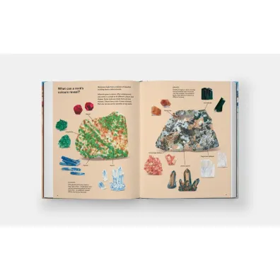 What a Rock Can Reveal. Where They Come From And What They Tell Us About Our Planet