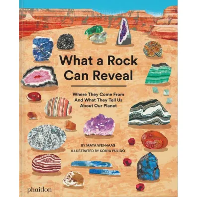What a Rock Can Reveal. Where They Come From And What They Tell Us About Our Planet