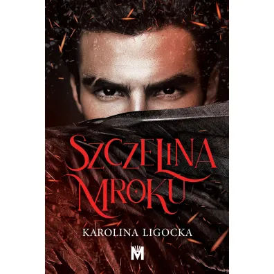 Szczelina mroku. Historia Naridy. Tom 2 - Karolina Ligocka