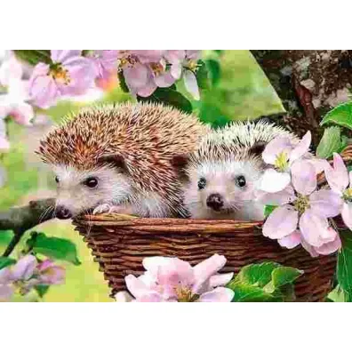 Puzzle 120 el. Wiosenny czas Castorland