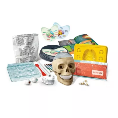 Anatomia Clementoni