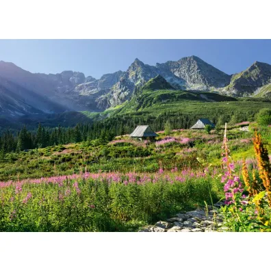 Puzzle 1000 el. G�sienicowa hall in Tatras CherryPazzi