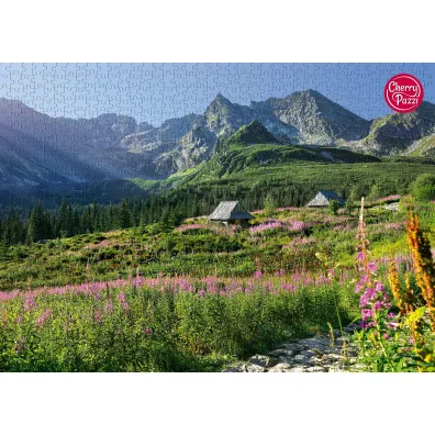 Puzzle 1000 el. G�sienicowa hall in Tatras CherryPazzi