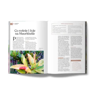 Mauritius i Seszele