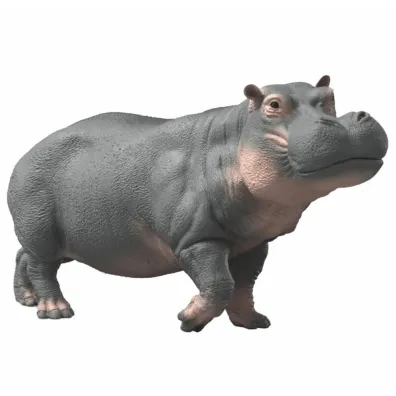 Hipopotam