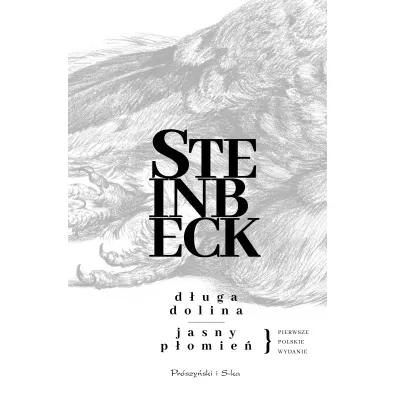 D�uga dolina. Jasny p�omie� - John Steinbeck