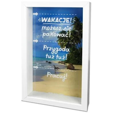 Skarbonka Home 3 - Wakacje 2 Pan Dragon