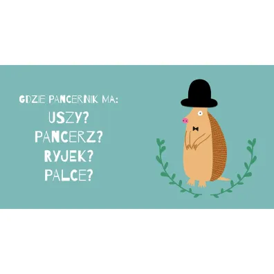 Gdzie kotek ma?