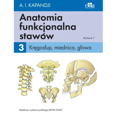 Kr�gos�up, miednica, g�owa. Anatomia funkcjonalna staw�w. Tom 3 - Adalbert Ibrahim Kapandji