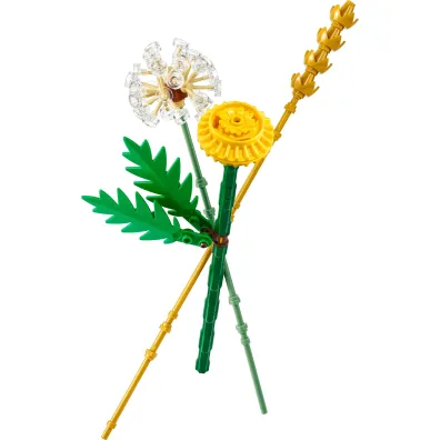 LEGO Botanicals Kwiaty polne 30701
